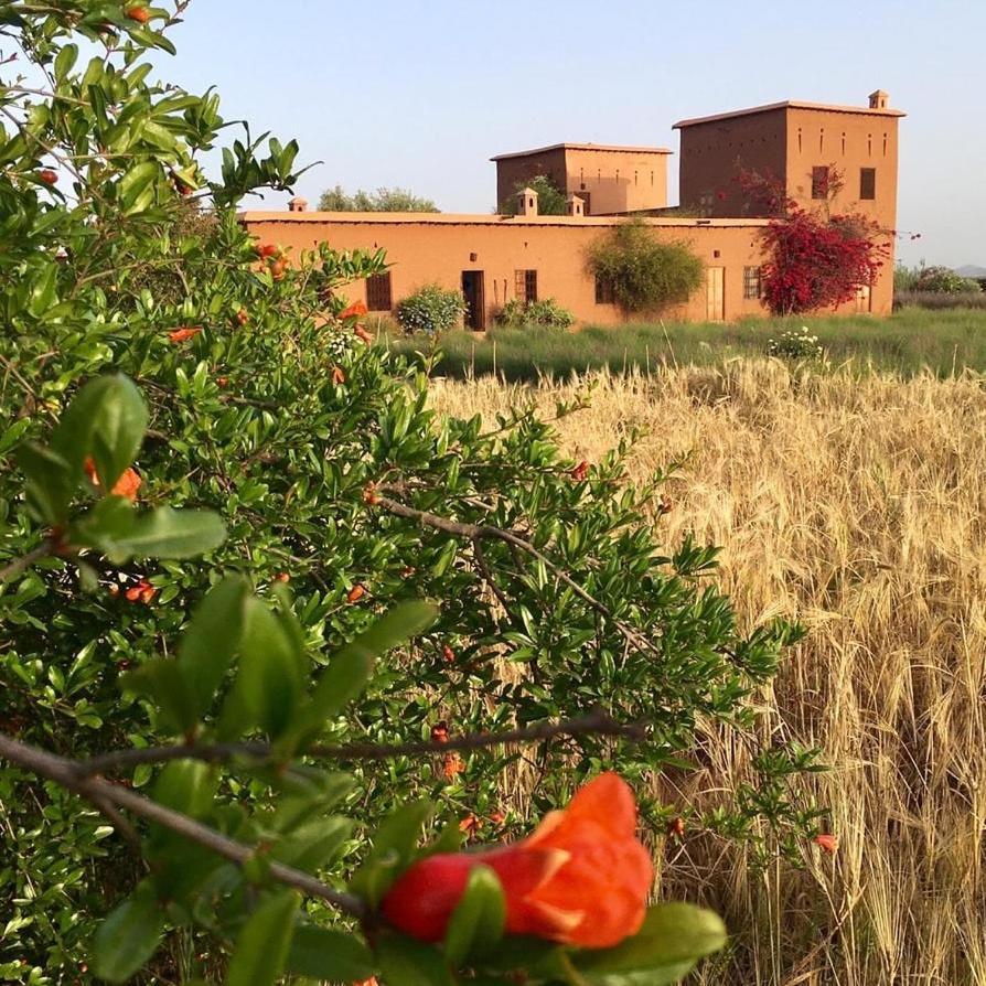 Dar Tasmayoun Ait Ourir Exterior photo