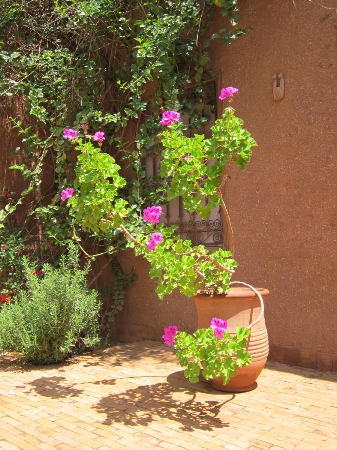 Dar Tasmayoun Ait Ourir Exterior photo