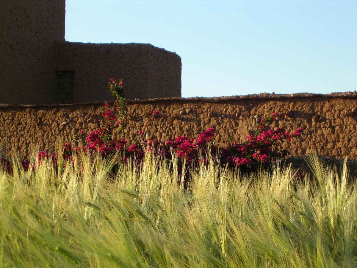 Dar Tasmayoun Ait Ourir Exterior photo